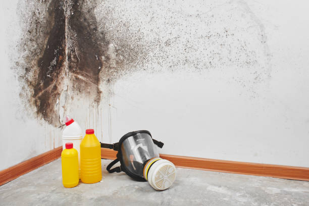 Best HVAC Mold Remediation in Hawthorne, NY